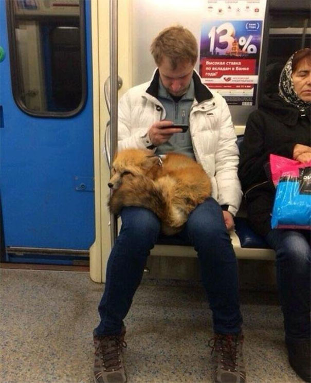 funny-people-on-subway-49-5b30f30c1a388__605