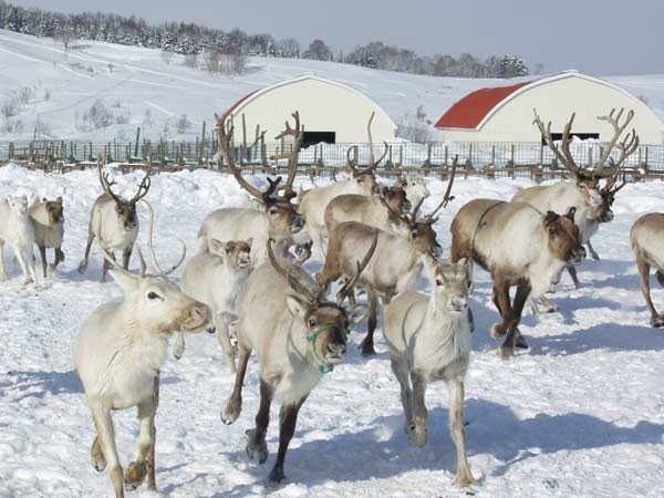 2a0c2bb7abff510d58fdef2e60b43523