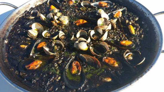 8684405119518a56ef8c912df2a4a95c63e68046718ee7051d3e6b4e63ab542a