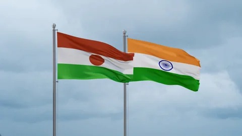 india-and-niger-flag-footage-256