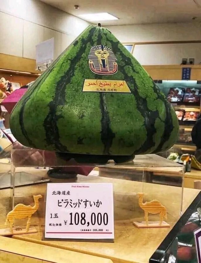 372626624_349797890715237_6320415819371489953_n