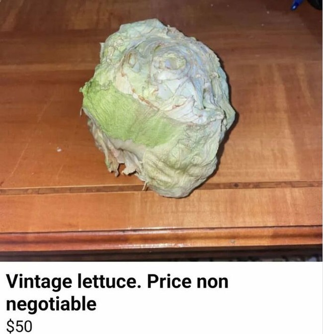 idiots-of-facebook-marketplace-28-62fc8101a5bfa__700