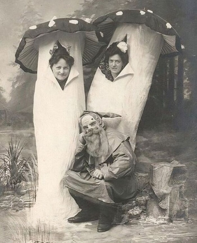 6673f8559c7e9_interesting-curiosities-museum