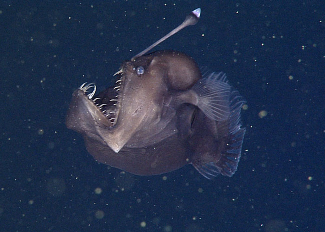 scary-ocean-photos-2-6564632e40c69__700