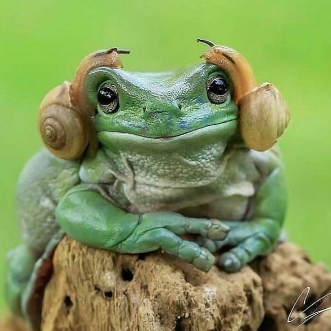 CSjBKbAsMN5-png__700