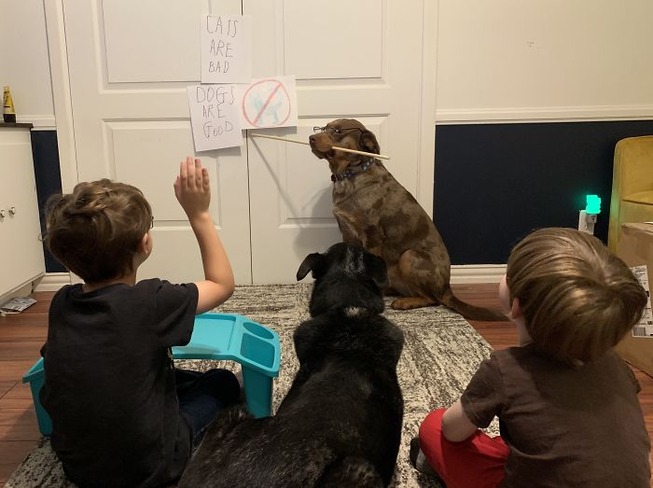 5e7c86c0ca7a4_P4z43NA__700