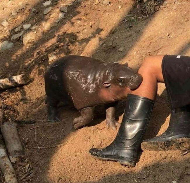 CgjMhnfscqa-png__700