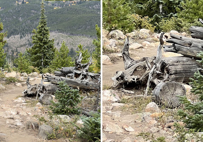 pareidolia-pictures-82-678661d706986__700