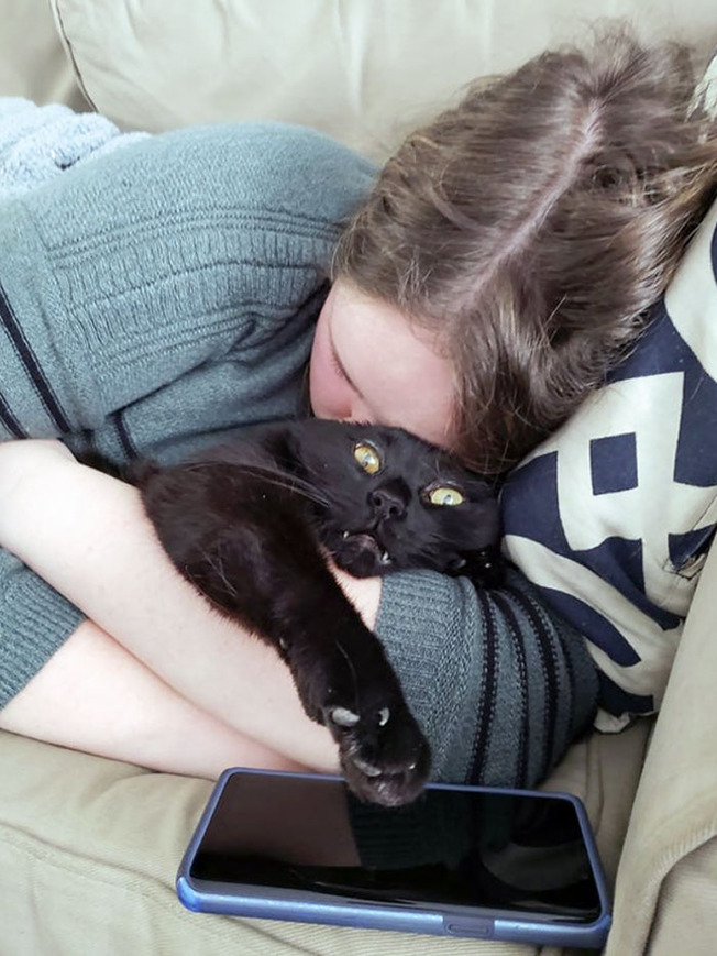 cats-say-no-cuddles-242-60366840f3d61__700