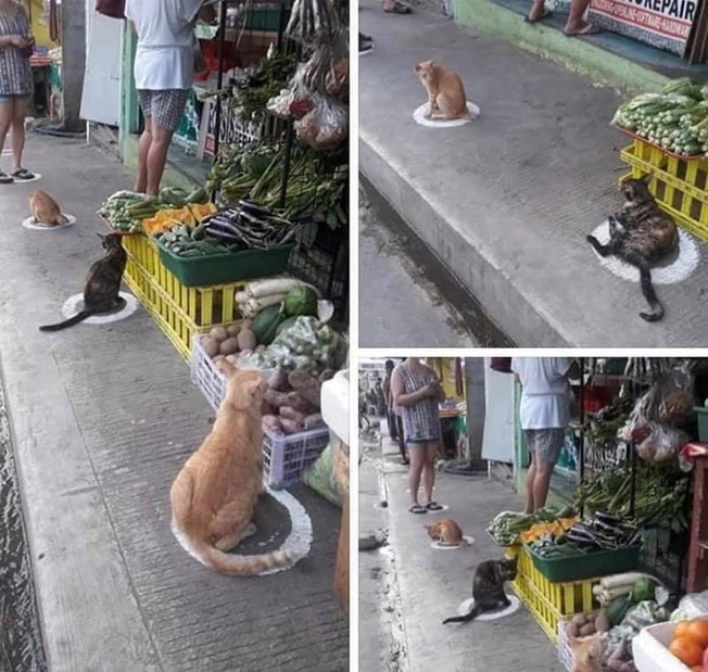 139806689_4065450303466232_834174220344715351_n