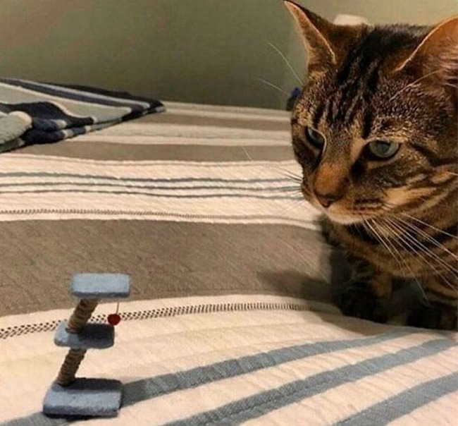 64b8de4eb197d_zrx02g2aat831__700-64b8ea914a068__700