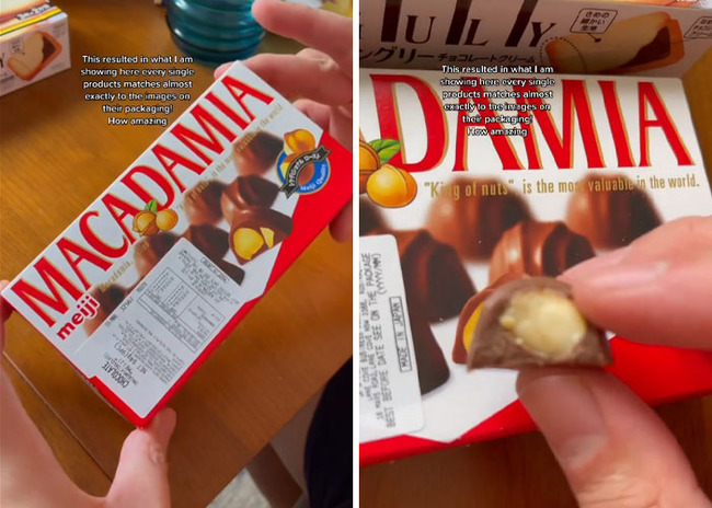 japanese-packaging-vs-reality-6406f0875e979__700