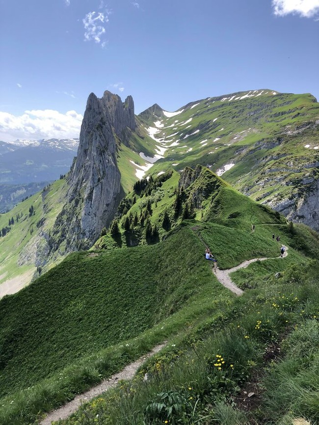 65fbe5b0d52e8_3zgcqhnunr391__700