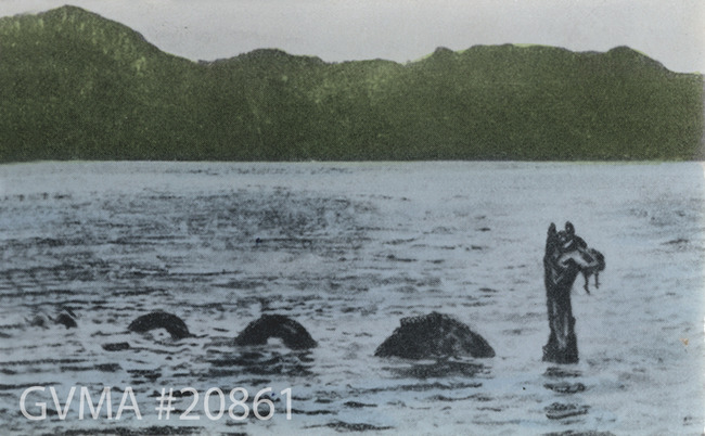 20861