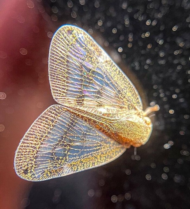 67e683258fc38_mind-blowing-photos