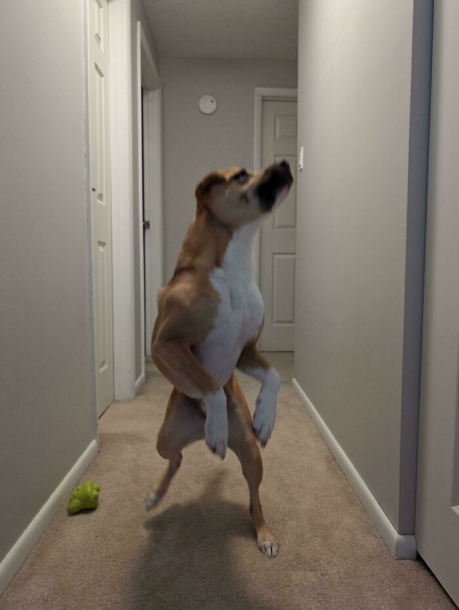 67516423e0c9e_n0z4ybx0b6ad1-jpeg__700