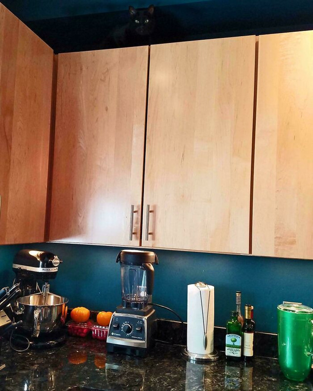 68fa3fdb2d73f_w4j9d0errwoe1-jpeg