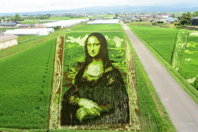 306606477_218879293799609_3868851049485828045_n