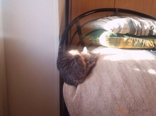 64ae5427c3865_qoqdhk1pz1g51__700