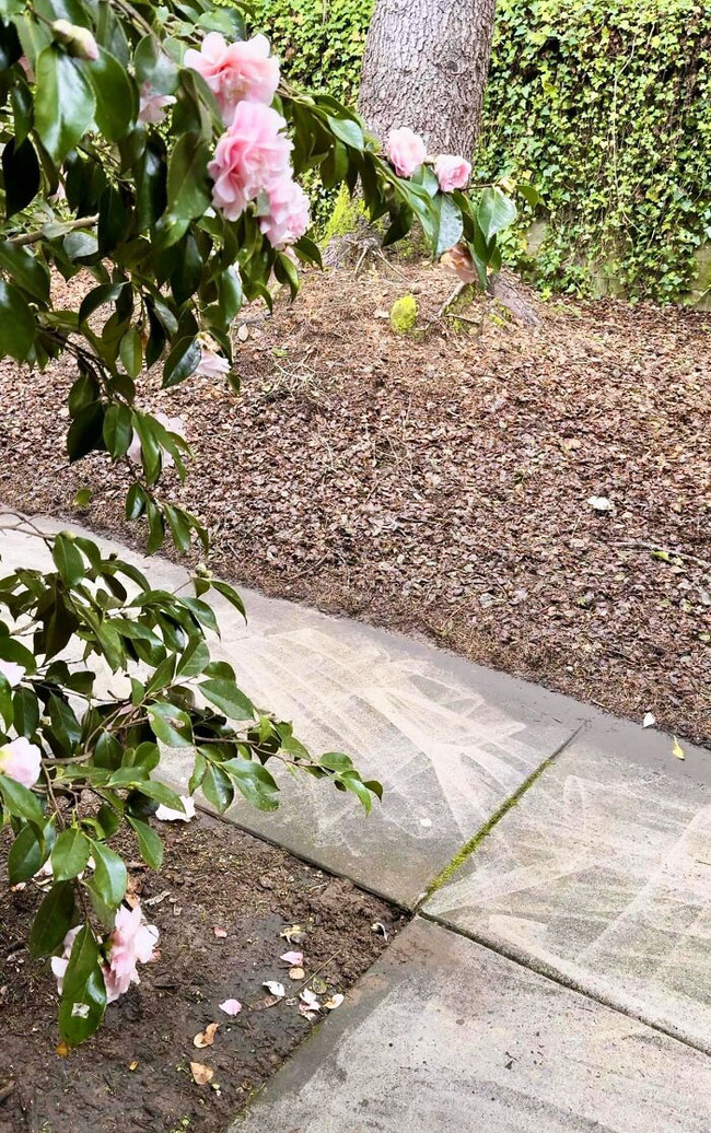 infuriating-terrible-landlords-14-66ed1c85c7ac7__700