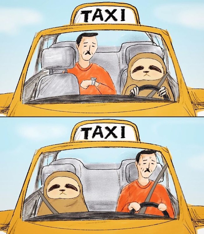 funny-sloth-illustrations-keigo-27-5d75f2fe67478__700