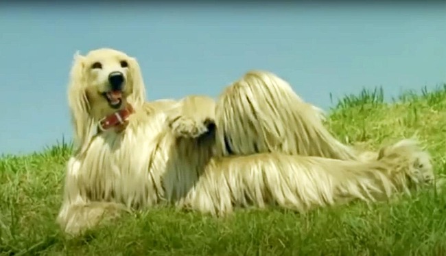 283950663_3109330122715786_6383906202055379620_n