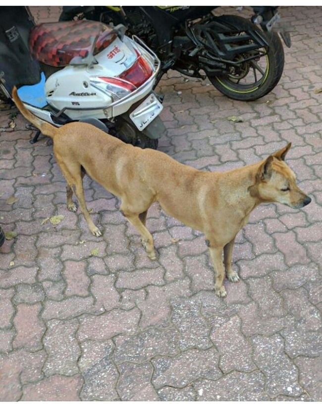 63ef4f0ce310b_7s7uzpbl23a61__700