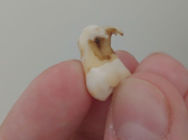 6899bce432587_generated-image__700