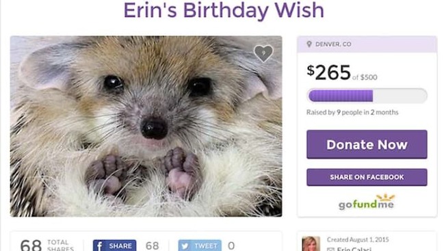 dumb-gofundme-campaigns-dontfundme-8-6203890d47355__700 (1)