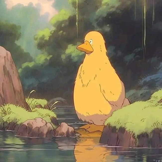 438914212_440534238556856_7426971357037670207_n