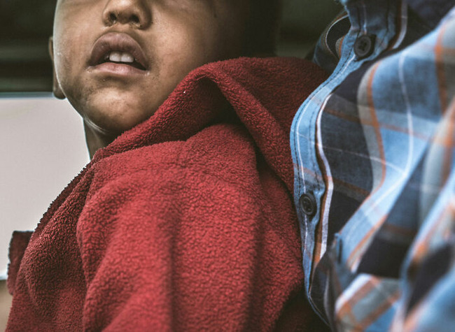 pet-parade-161-truck-bed-with-ki