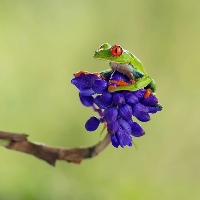 BviLyaflRTX-png__880