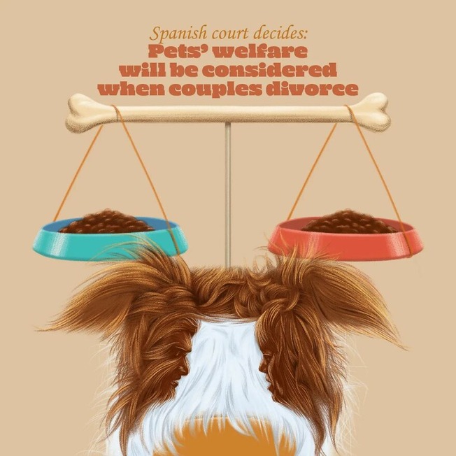 good-news-that-cannot-be-photographed-Heres-30-of-them