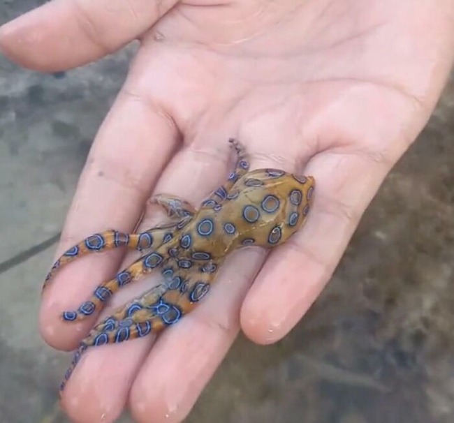 67f67abc2c4b8_people-photographed-something-dangerous