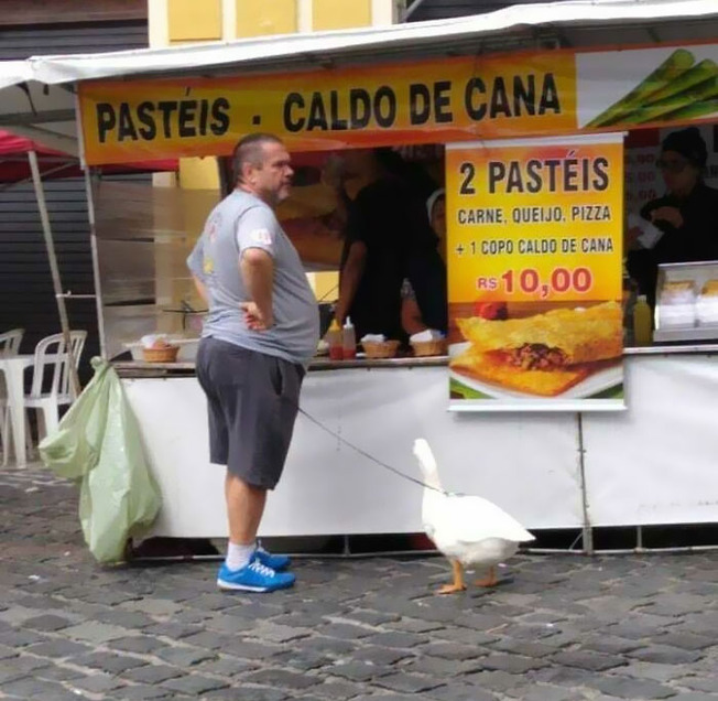 funny-brazilian-pics-11-616826b4a4e72__700