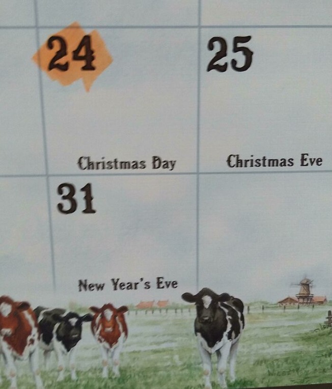 61f14ab4f1fbc_63l7eysufvz71__700