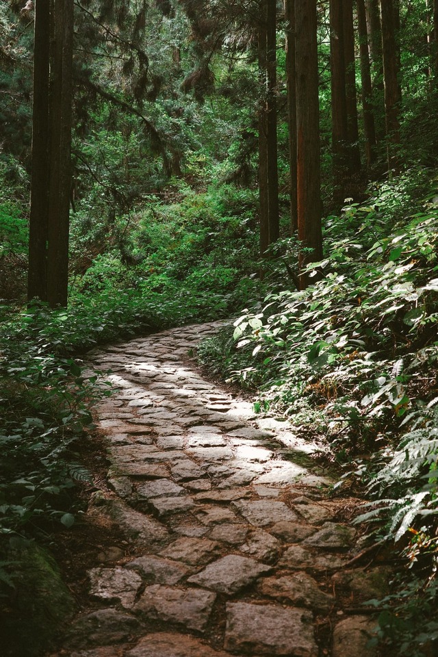 my-japan-trip-october-2025-in-20 (6)