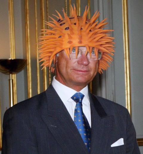Carl_XVI_Gustaf_15_500x536