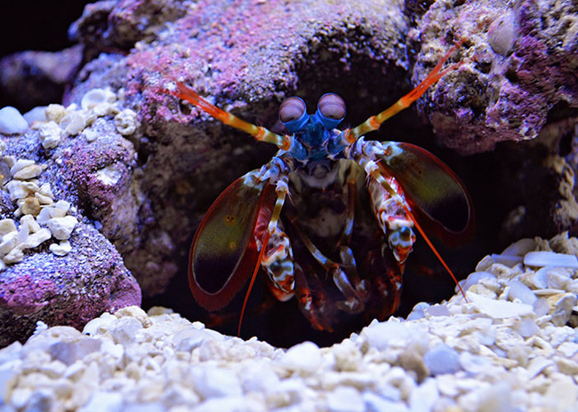 true-facts-sound-fake-13-63345087b21ae__700