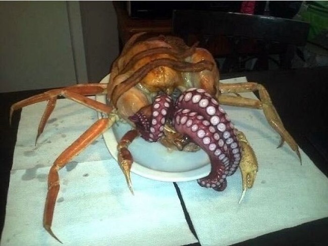 CWsuY_nFrnw-png__700