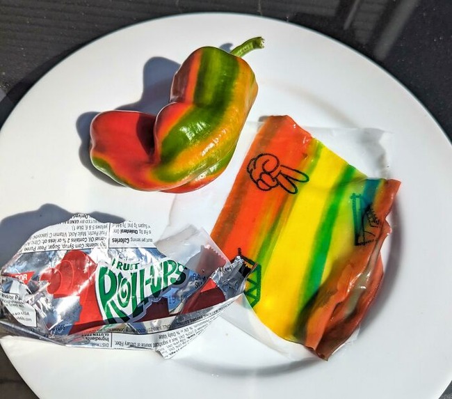 65950dd50836e_nea1zjqn5vlb1__700