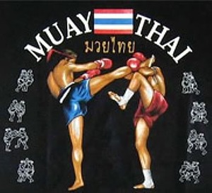 Muay Thai Martial Arts 4