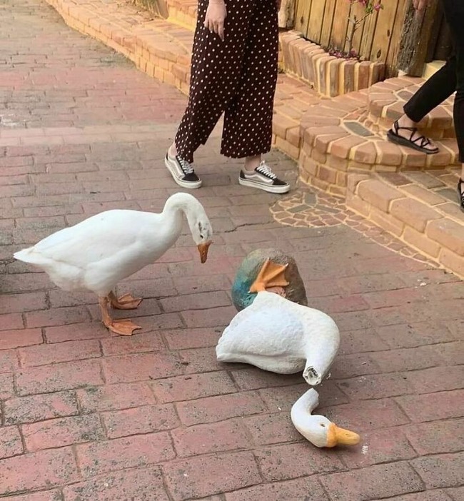 CgSnjcaMrIW-png__700