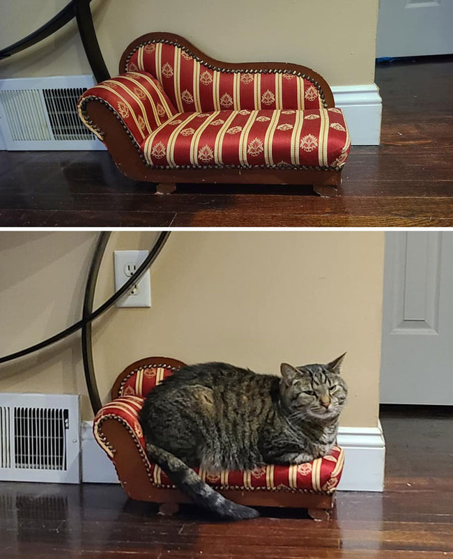 best-thrift-shop-finds-all-time-66de9c252df0f__700