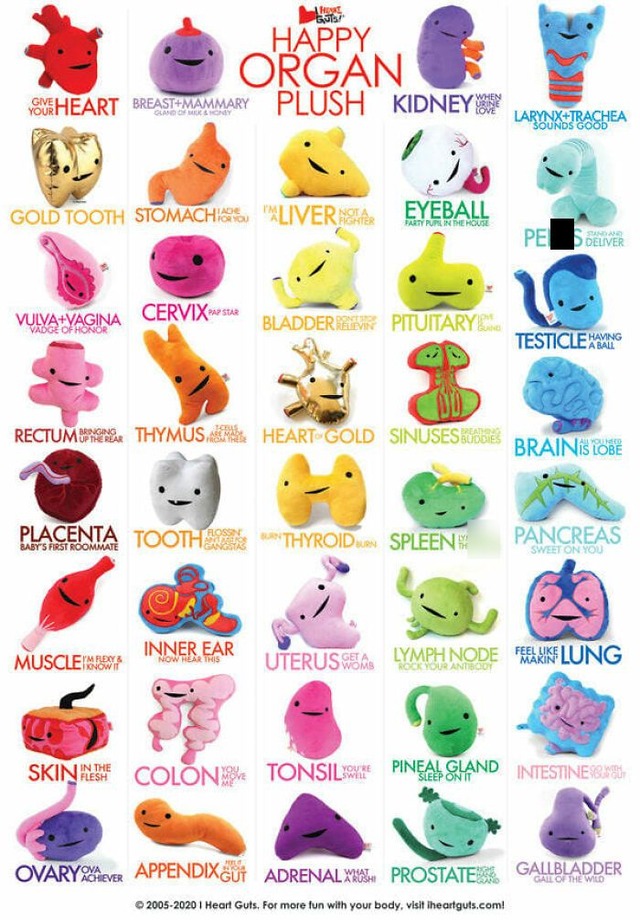 105-68d501a21407e__censored__700