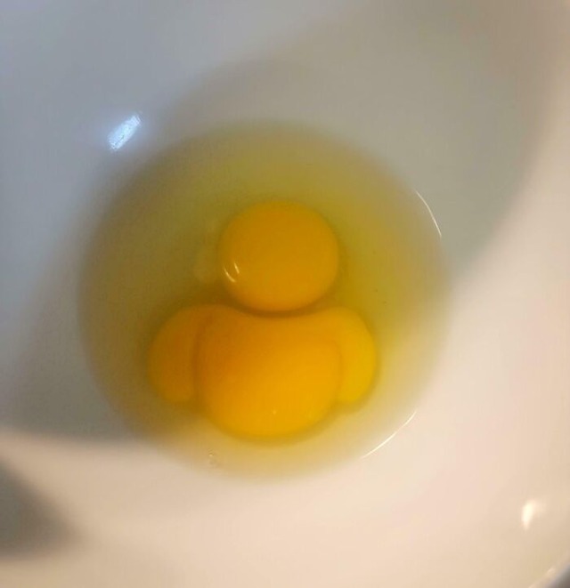 6847eaca43830_things-that-resemble-other-things