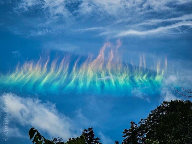 magnificent-creepy-miracles-from-natural-world