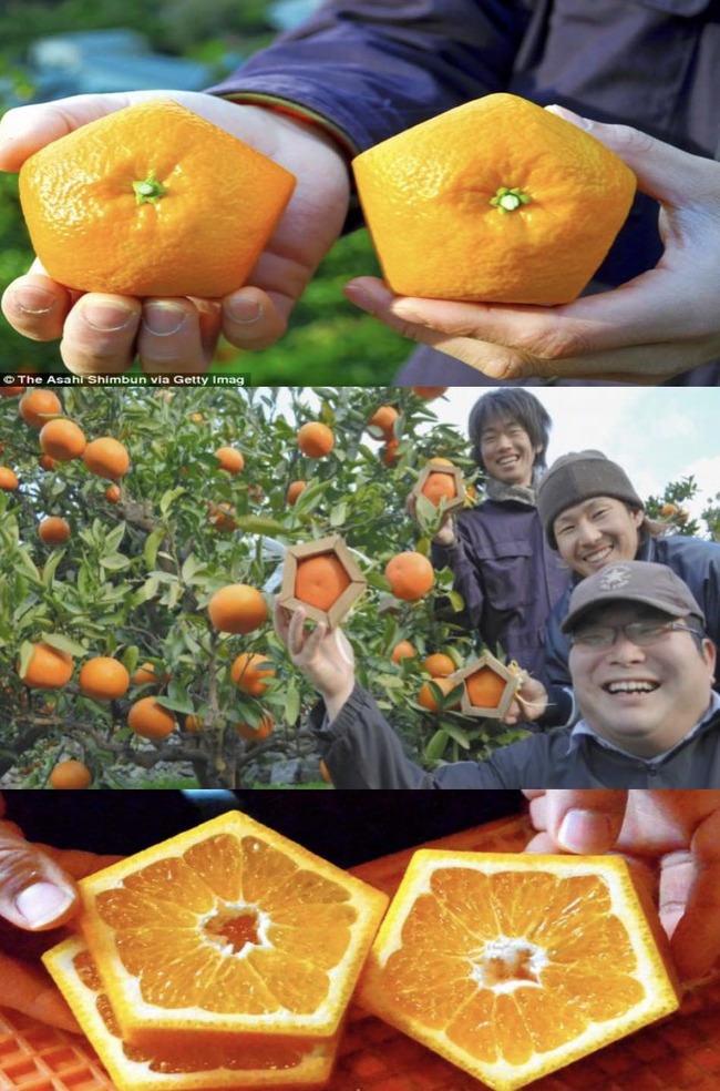 326398517_1896305574039043_4603449301239511235_n