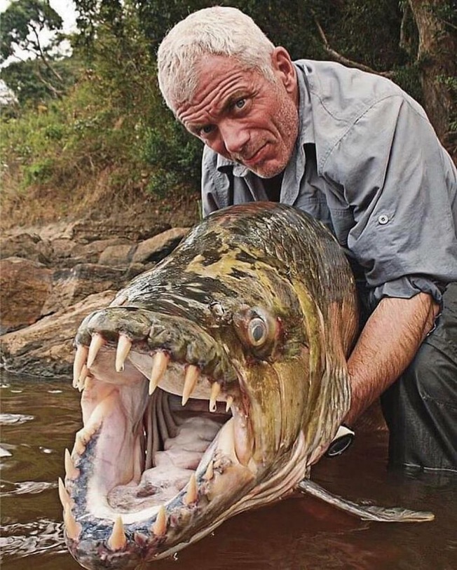 funny-absolute-unit-pics-14-6087d2b6d0321__700 (1)