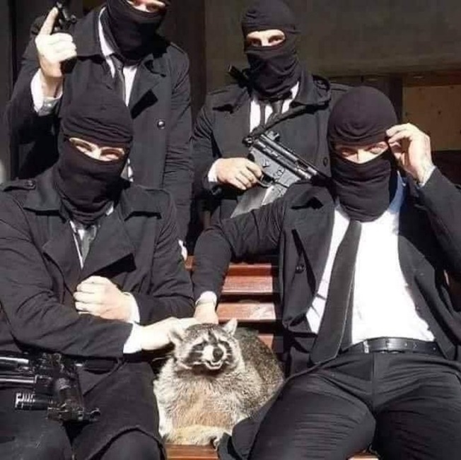 humans-doing-human-things-61fa820bef5e9__700